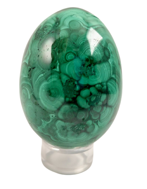 Malachite Egg, DRC
