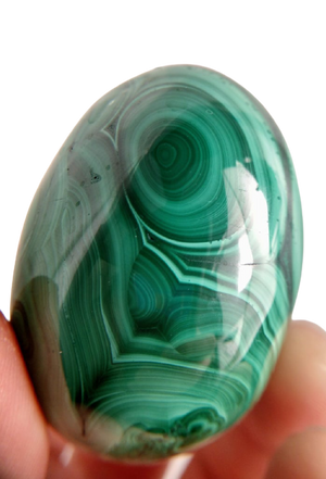 Malachite Egg, DRC