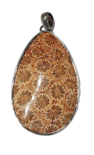 Fossilized Coral Pendant