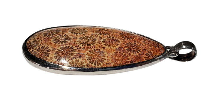 Fossilized Coral Pendant