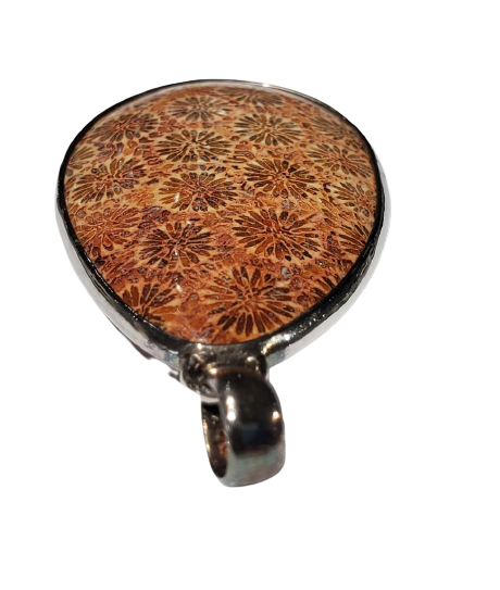 Fossilized Coral Pendant