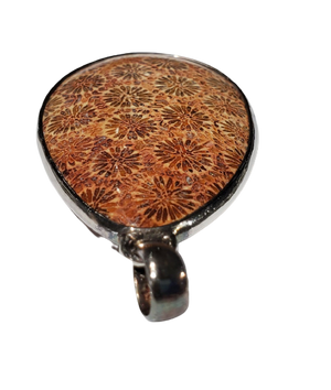 Fossilized Coral Pendant