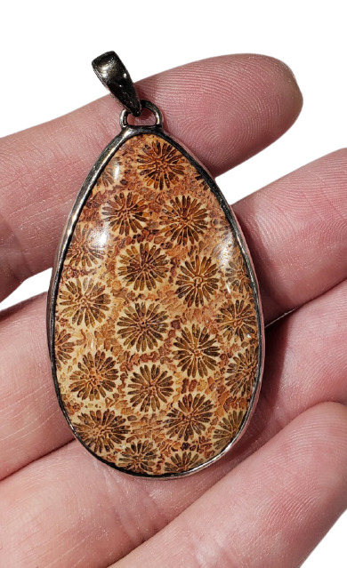 Fossilized Coral Pendant