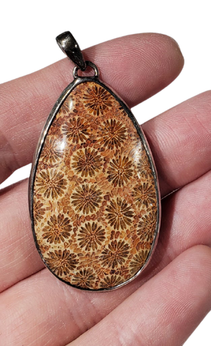 Fossilized Coral Pendant