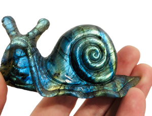 Labradorite Snail Carving