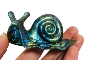 Labradorite Snail Carving