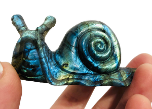 Labradorite Snail Carving