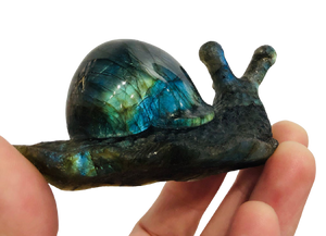Labradorite Snail Carving