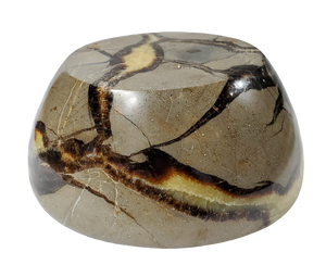 Septarian Bowl, Madagascar