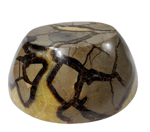 Septarian Bowl, Madagascar