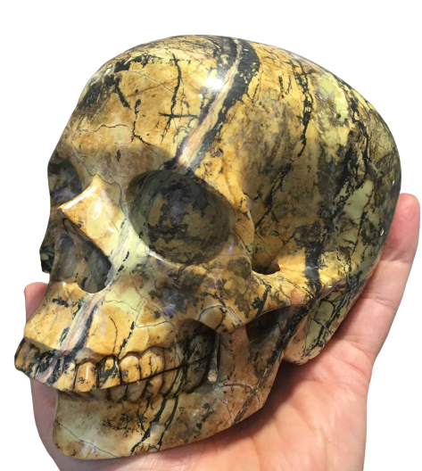 Yellow Turquoise Skull, Serpentine w/ Hematite
