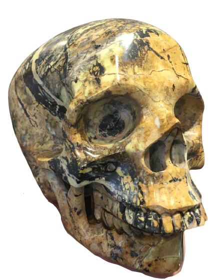 Yellow Turquoise Skull, Serpentine w/ Hematite