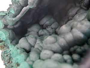 Botryoidal Malachite,  Congo