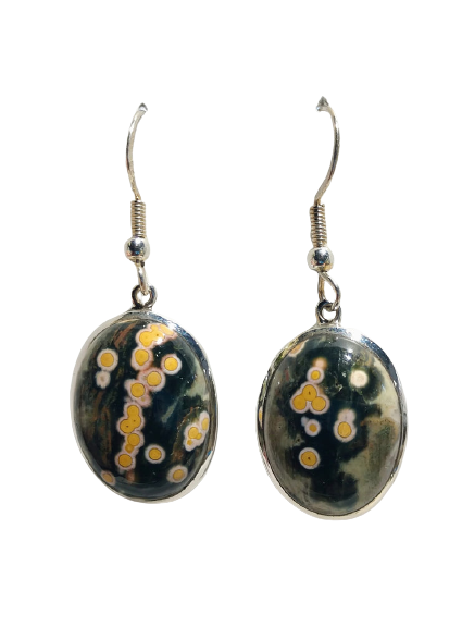 Ocean Jasper Earrings, Sterling Silver