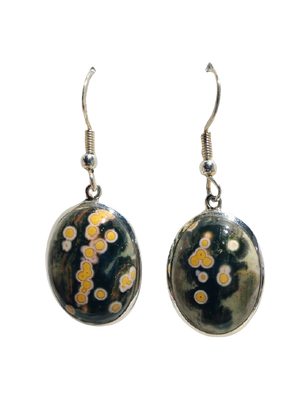 Ocean Jasper Earrings, Sterling Silver