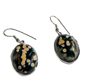 Ocean Jasper Earrings, Sterling Silver