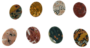 Ocean Jasper Cabochons