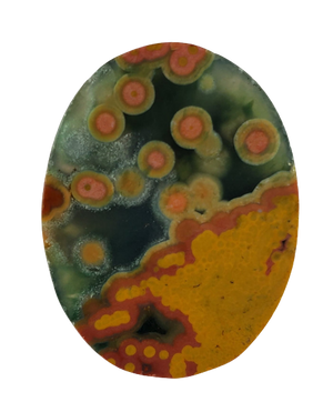 Ocean Jasper Cabochons