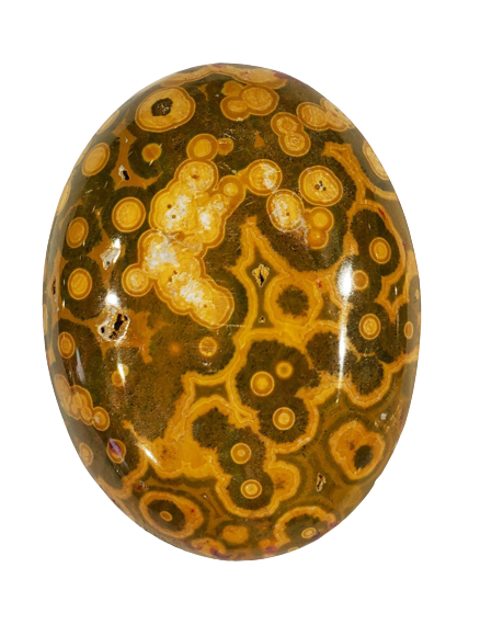 Ocean Jasper Cabochons