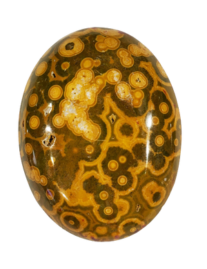 Ocean Jasper Cabochons