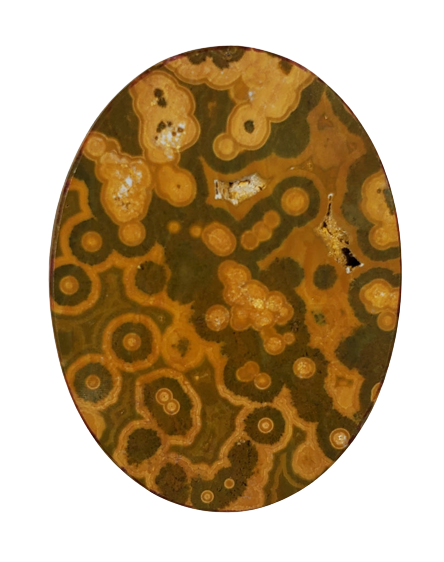 Ocean Jasper Cabochons