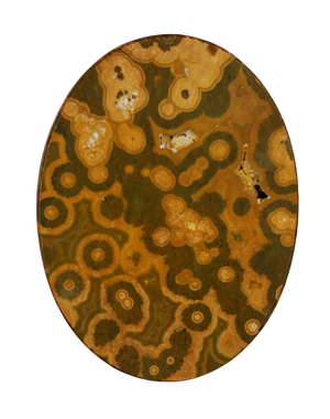 Ocean Jasper Cabochons