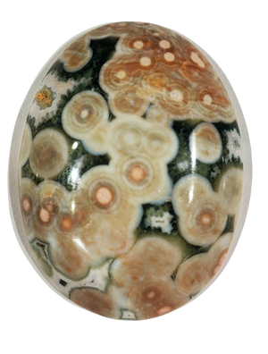 Ocean Jasper Cabochons