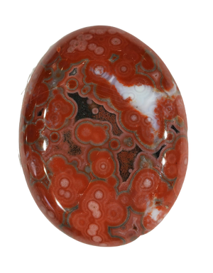 Ocean Jasper Cabochons
