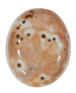 Ocean Jasper Cabochons