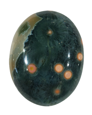 Ocean Jasper Cabochons