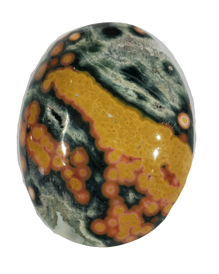 Ocean Jasper Cabochons