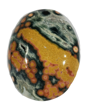 Ocean Jasper Cabochons