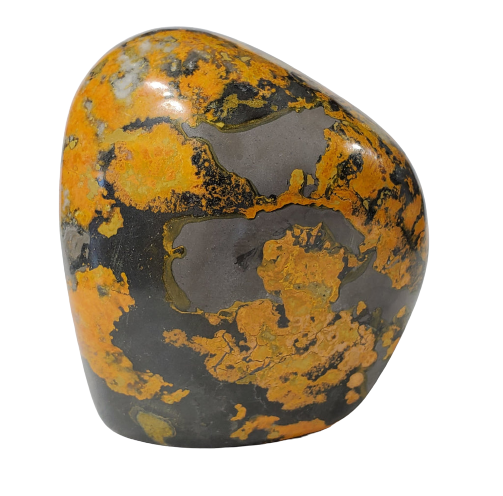 Bumble Bee Jasper Free Form