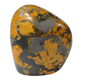Bumble Bee Jasper Free Form