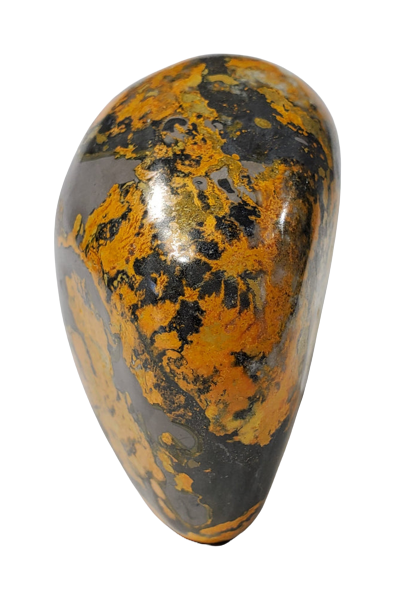 Bumble Bee Jasper Free Form