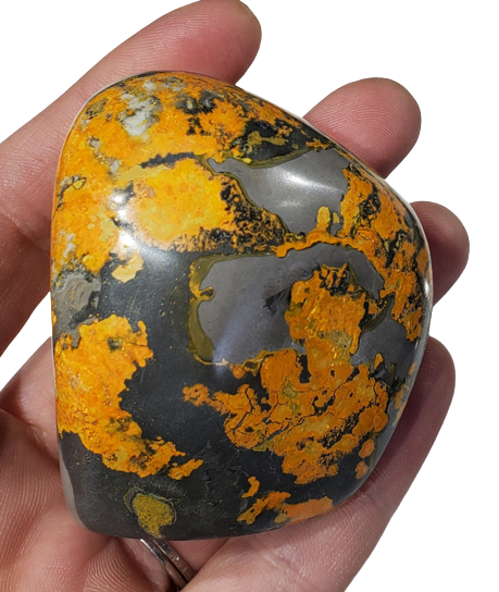 Bumble Bee Jasper Free Form