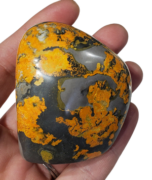Bumble Bee Jasper Free Form