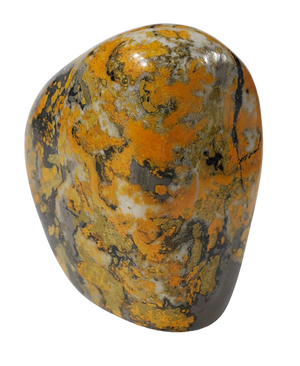 Bumble Bee Jasper Free Form