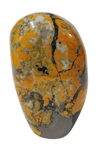 Bumble Bee Jasper Free Form