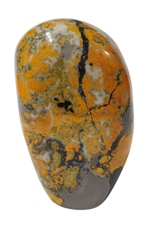 Bumble Bee Jasper Free Form
