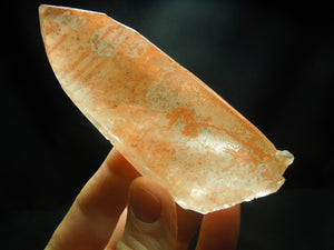 Tangerine Lemurian Quartz Crystal