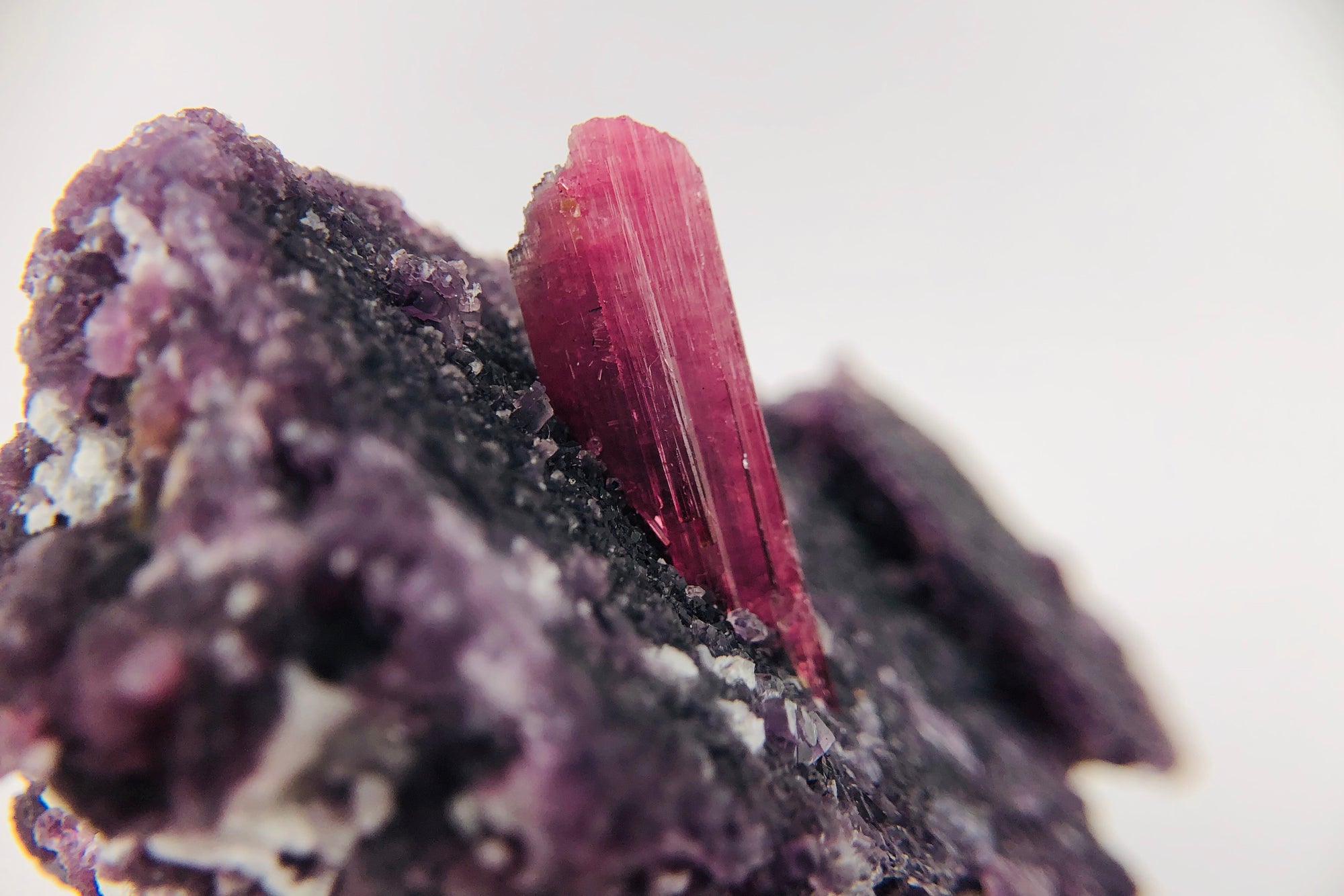 Rubellite Tourmaline on Lepidolite w/ Quartz