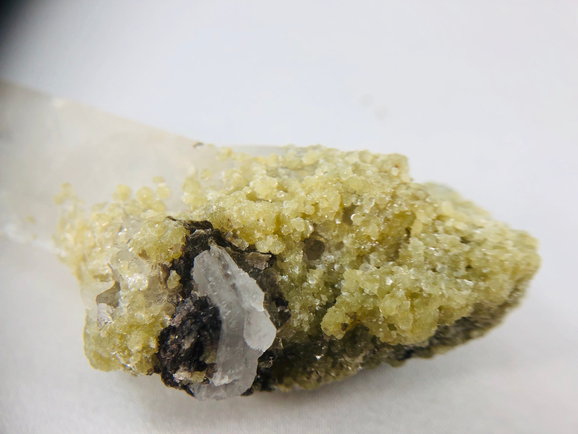 Quartz with Mica, Cleavelandite, and Biotite
