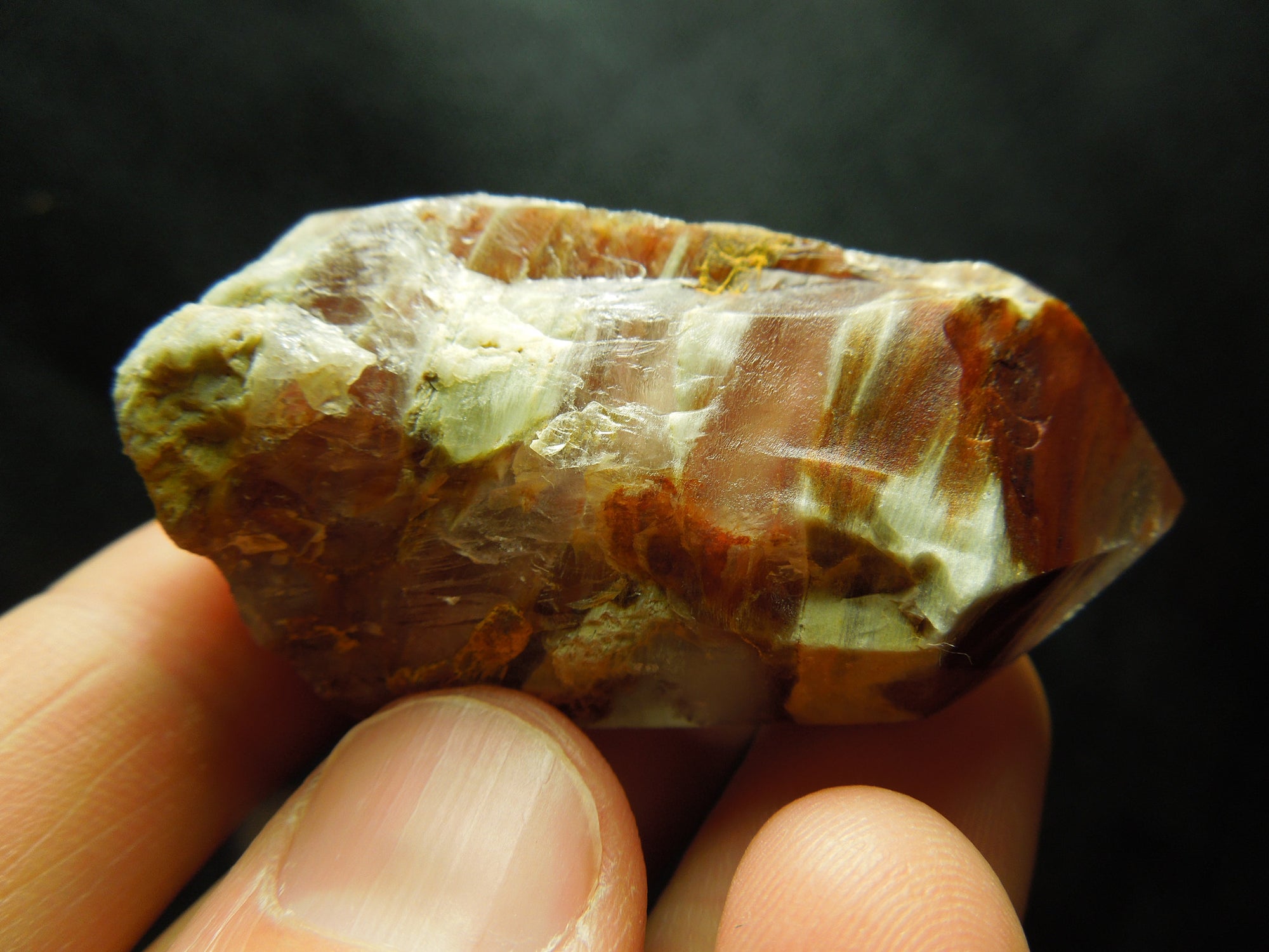 Amphibole Quartz