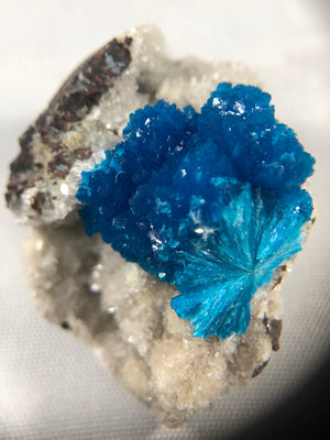 Cavansite Specimen from Wagholi, India