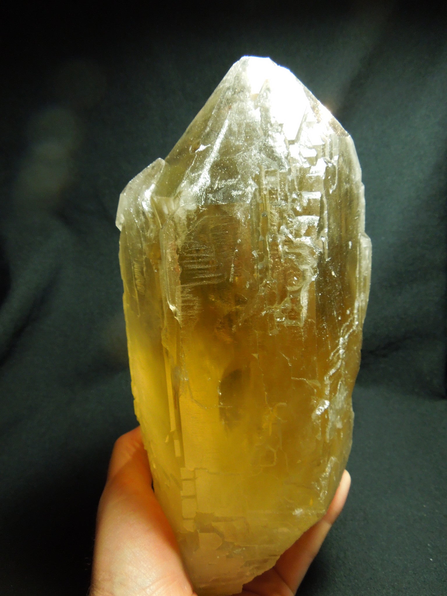 Natural Citrine Cathedral Quartz, 7.5 lbs.