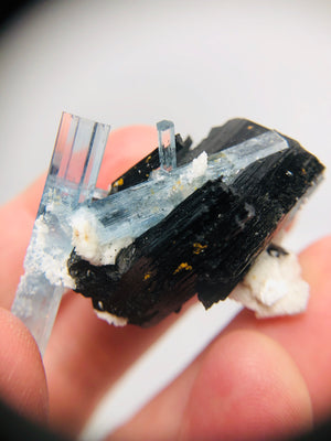 Aquamarine w/ Schorl Tourmaline, Namibia