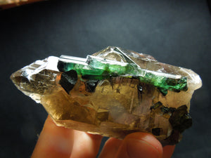 Smoky Cayhedral Quartz w/ Green Tourmaline