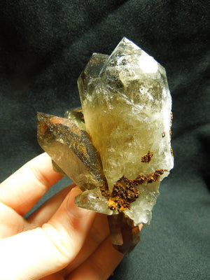 Smoky Quartz Cluster