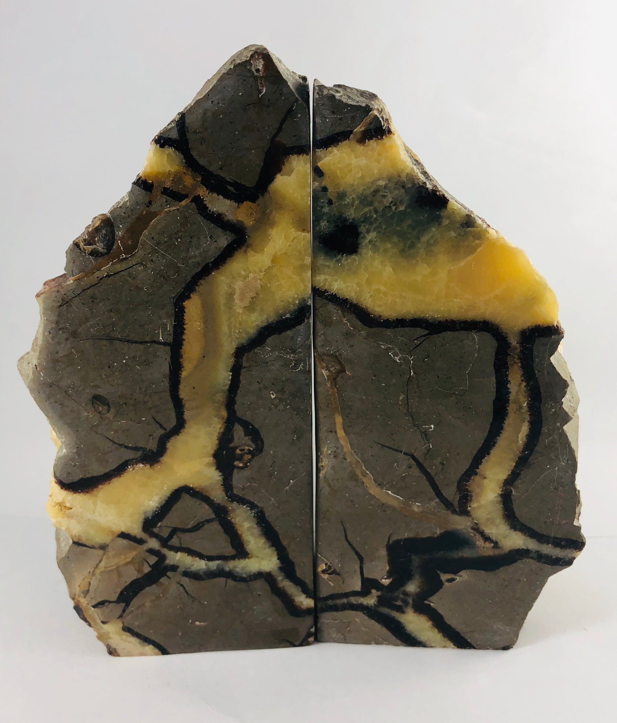 Septarian Bookends